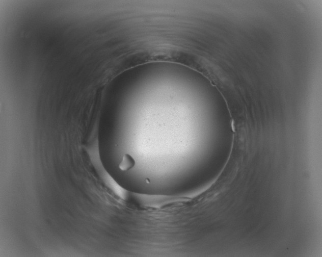 X0000083600916200702091216