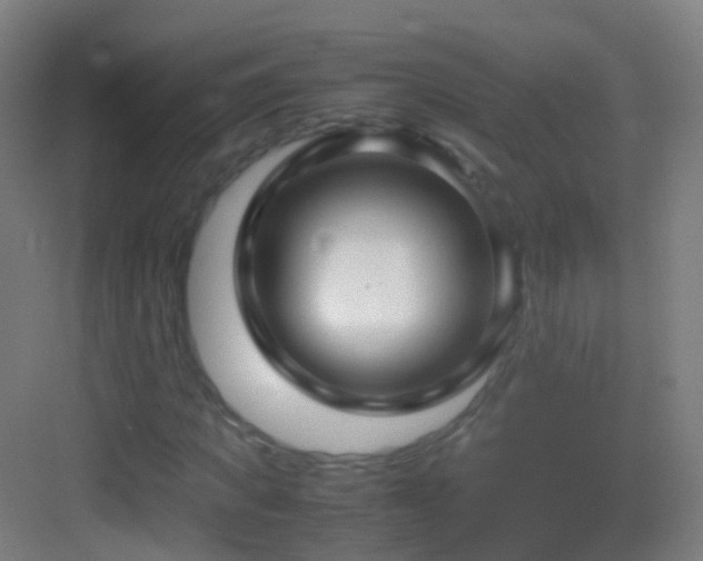 X0000083600917200702091216