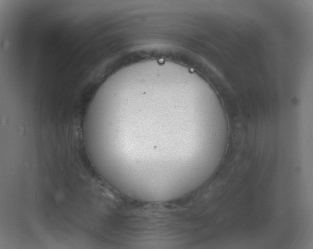 X0000083600918200702091216