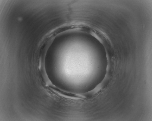 X0000083600920200702091216