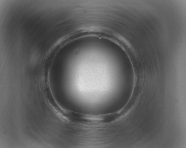 X0000083600922200702091216