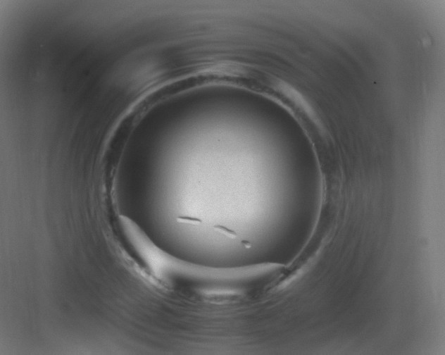 X0000083600923200702091216