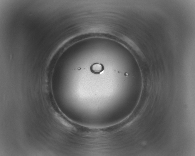 X0000083600926200702091216