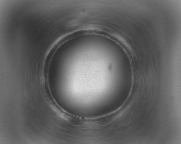 X0000083600927200702091216