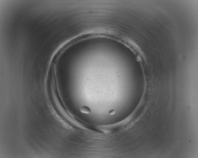 X0000083600928200702091216