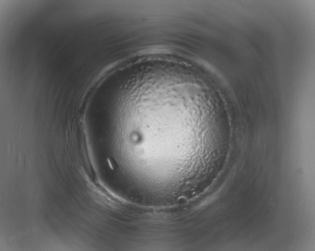 X0000083600929200702091216