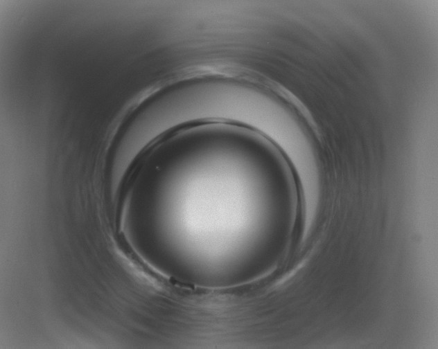 X0000083600930200702091216