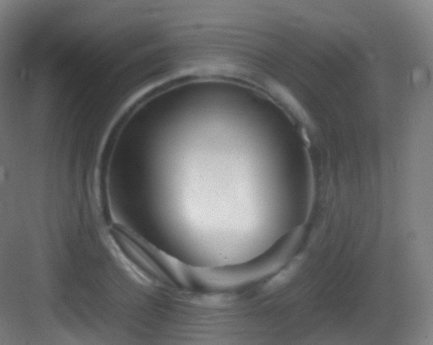 X0000083600932200702091216