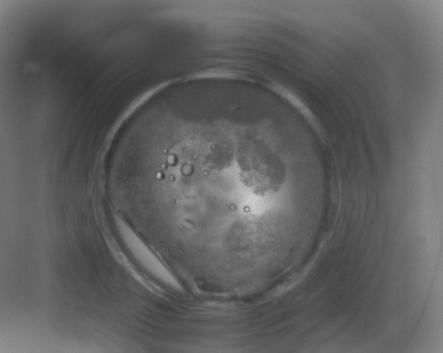 X0000083600933200702091216