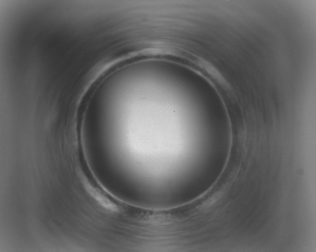 X0000083600934200702091216