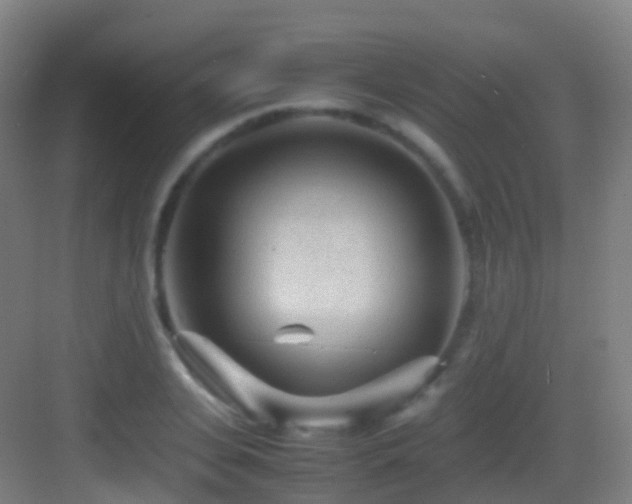 X0000083600935200702091216