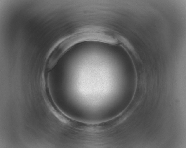 X0000083600936200702091216