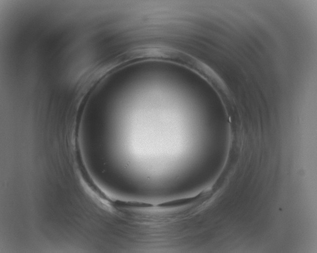 X0000083600938200702091216