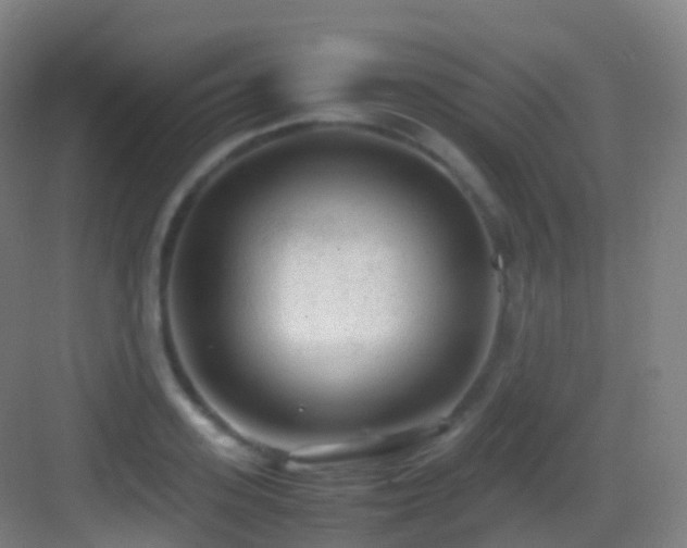 X0000083600939200702091216