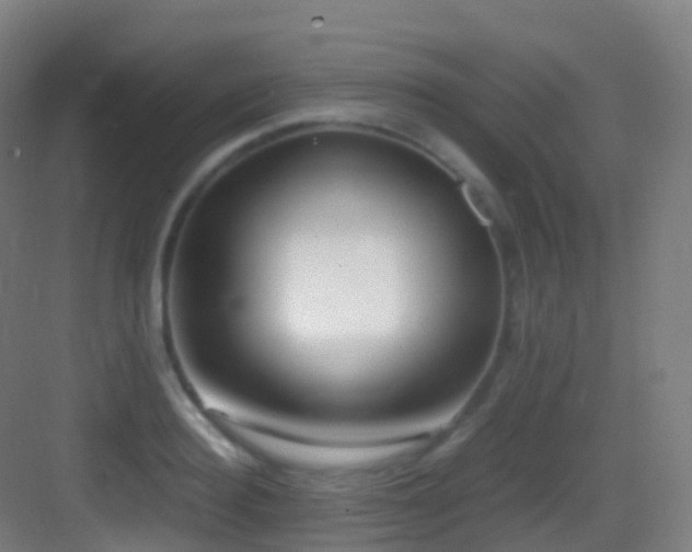 X0000083600940200702091216