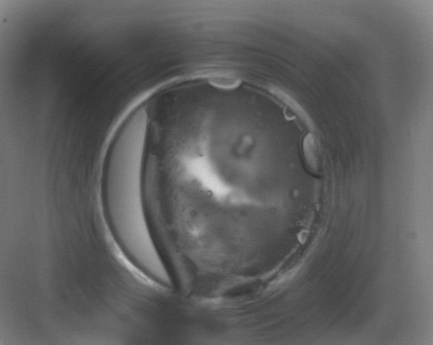 X0000083600941200702091216