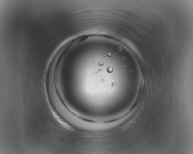 X0000083600942200702091216