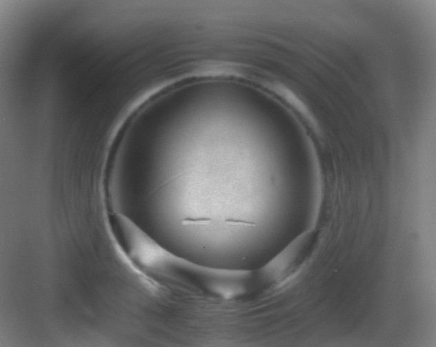 X0000083600943200702091216