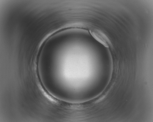 X0000083600944200702091216