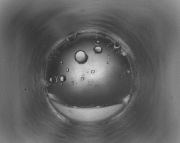 X0000083600945200702091216