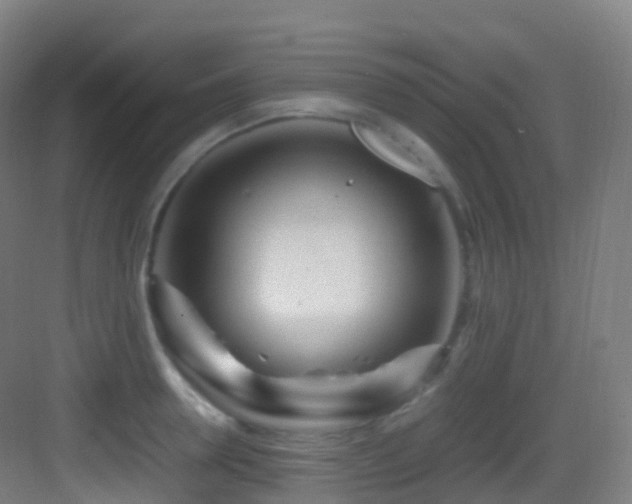 X0000083600946200702091216