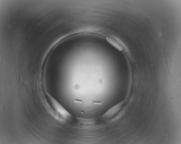 X0000083600948200702091216