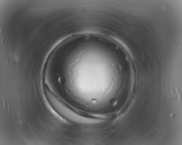 X0000083600949200702091216