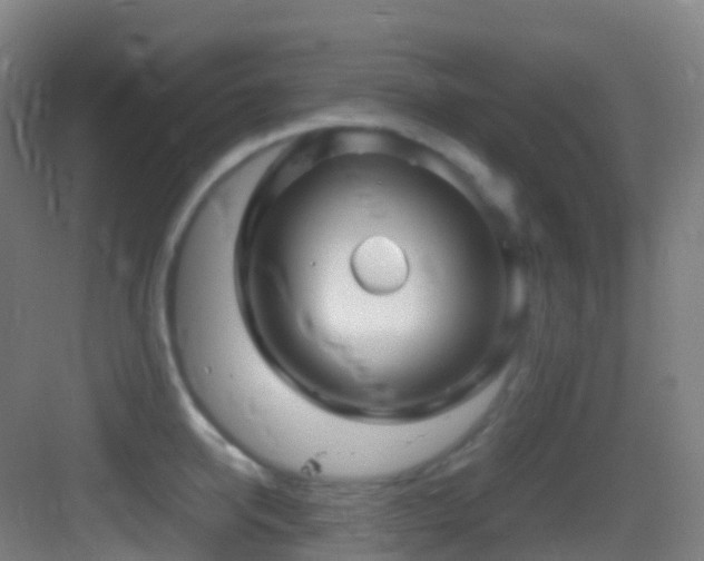 X0000083600950200702091216