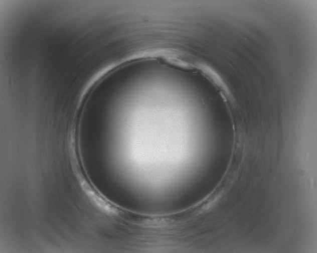 X0000083600952200702091216