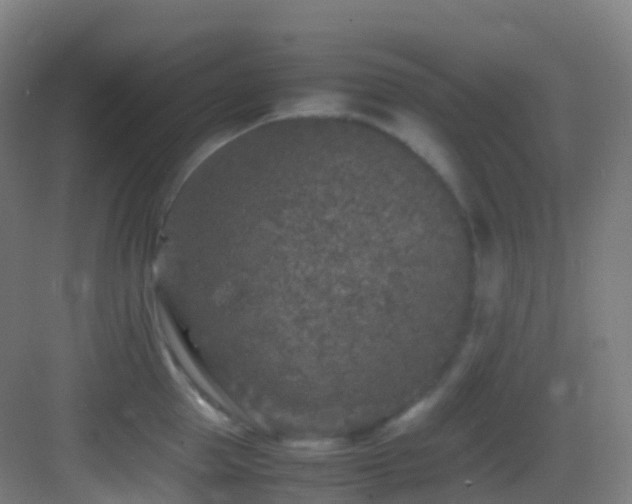 X0000083600953200702091216