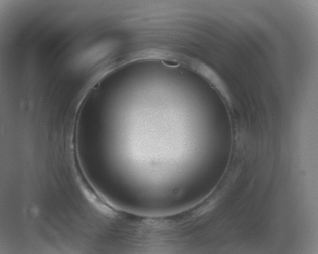 X0000083600954200702091216