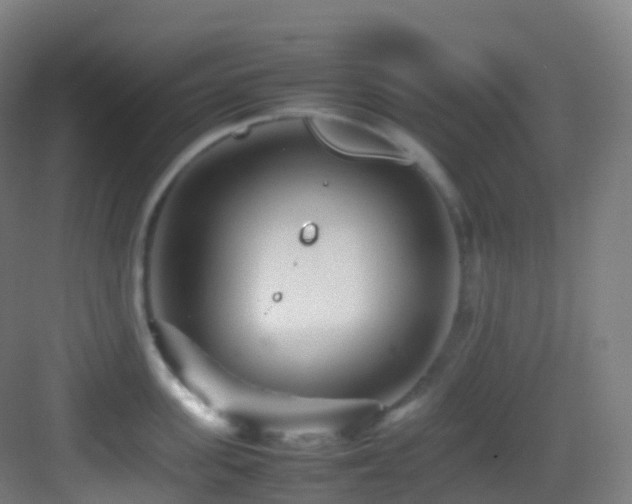 X0000083600955200702091216