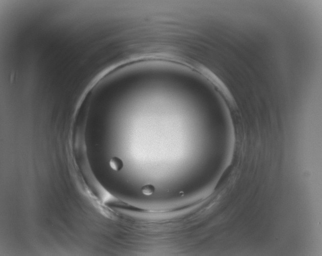 X0000083600956200702091216