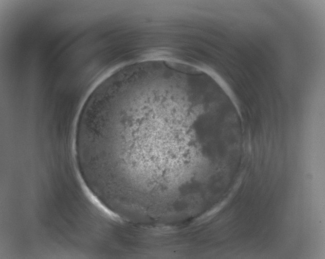 X0000083600957200702091216