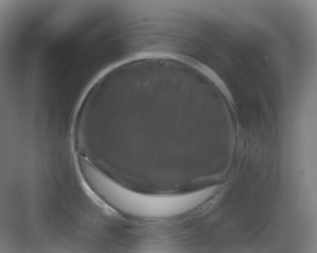 X0000083600958200702091216