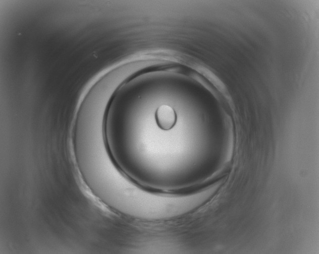 X0000083600960200702091217