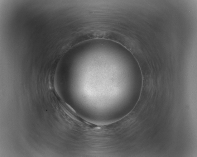 X0000083600962200702091216