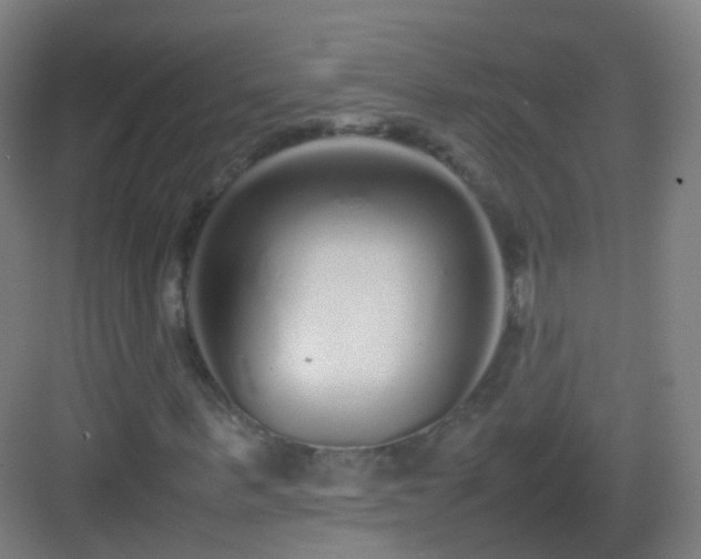 X0000083600963200702091216