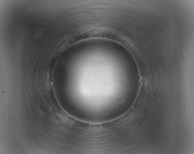 X0000083600964200702091216