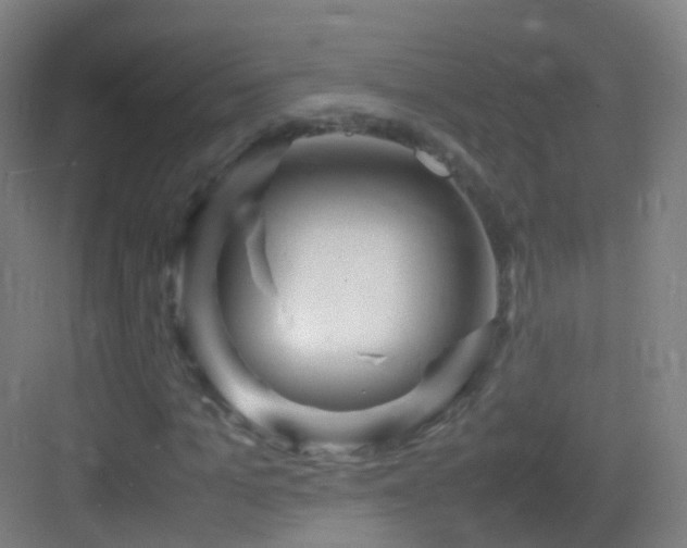 X0000083600965200702091216