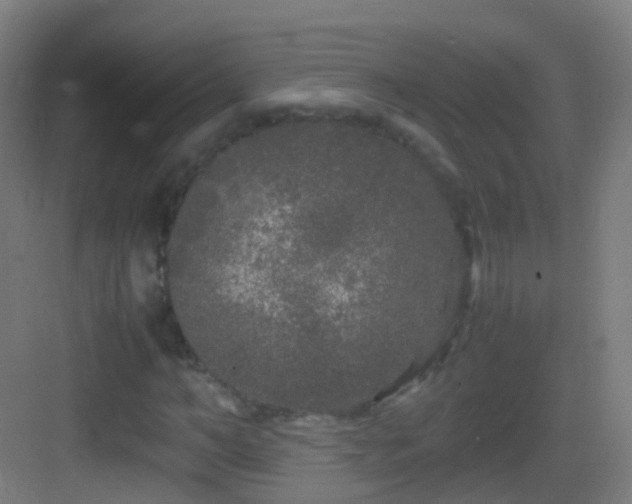 X0000083600966200702091216