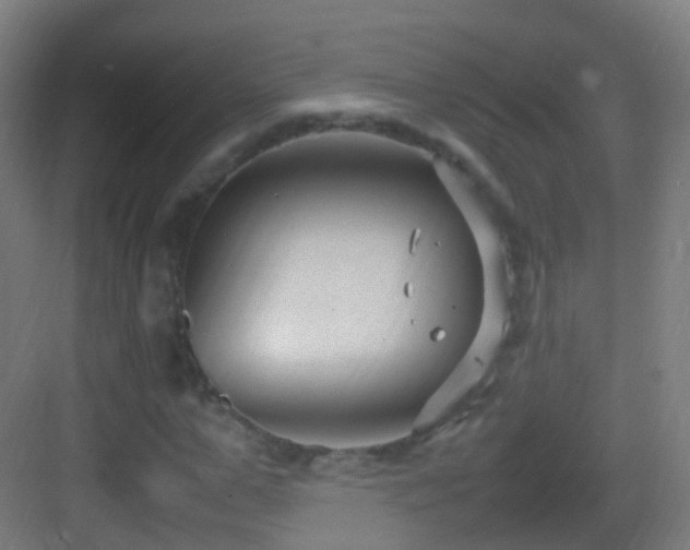 X0000083600967200702091216