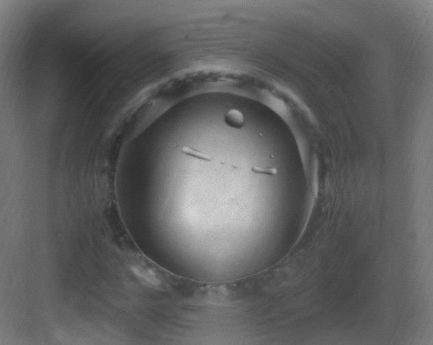 X0000083600968200702091216