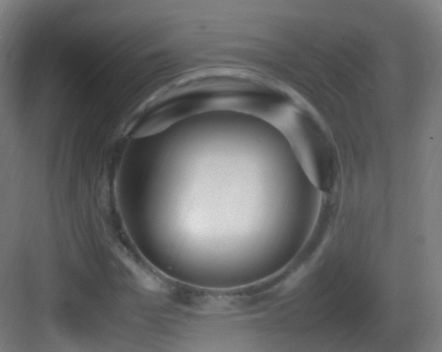 X0000083600969200702091216