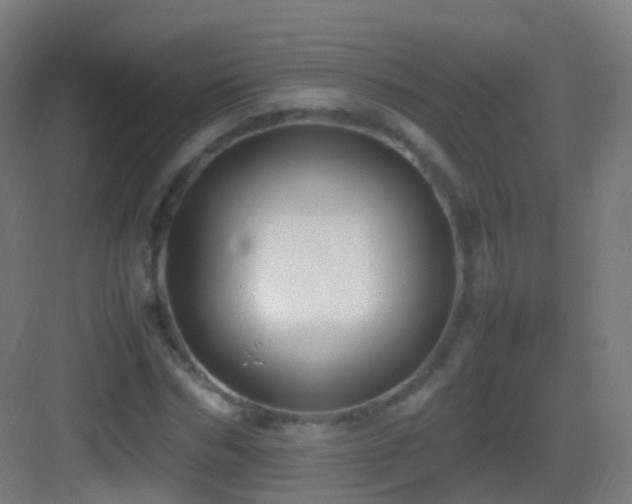 X0000083600970200702091216