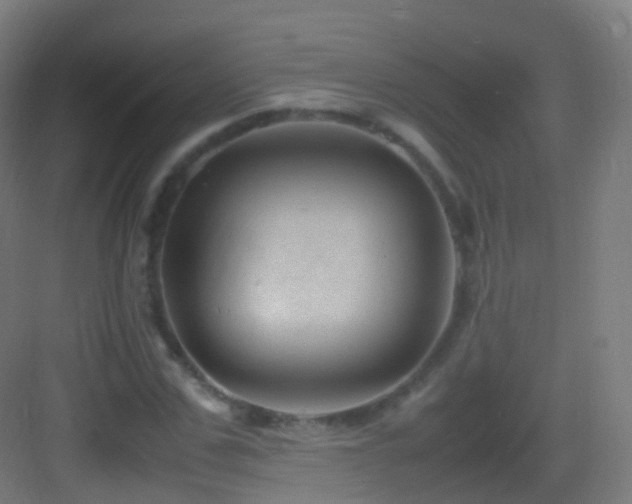 X0000083600971200702091216