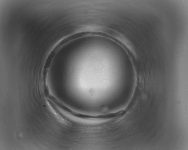 X0000083600972200702091216