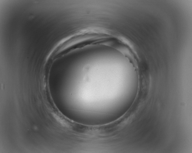 X0000083600973200702091216