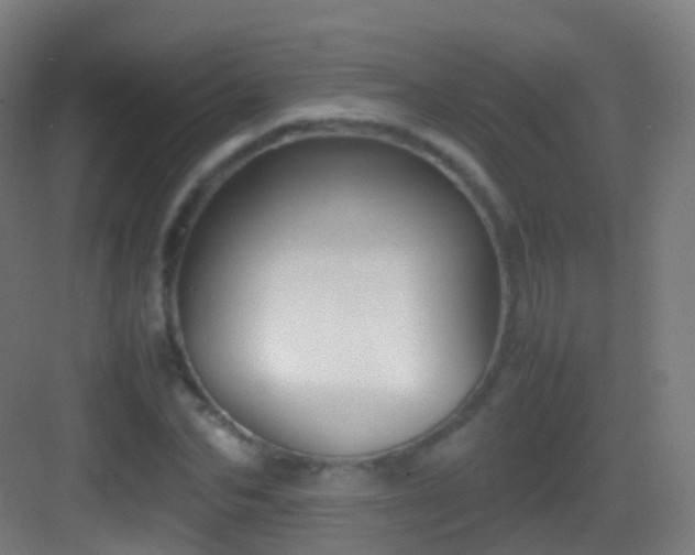 X0000083600974200702091215