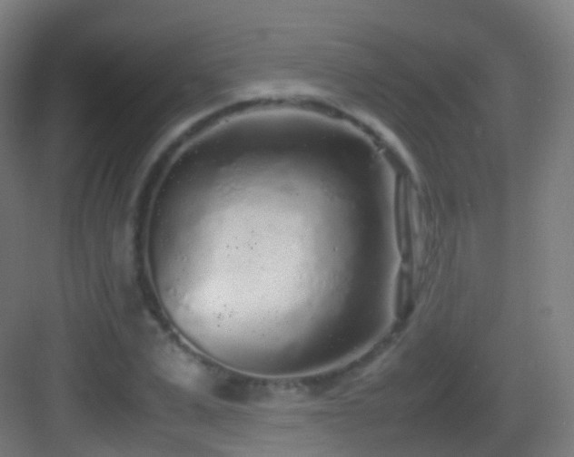 X0000083600975200702091215